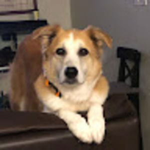 Meet your Posher, Leslie